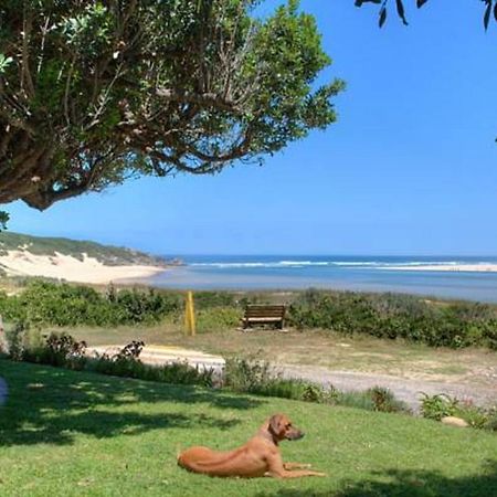 Milkwood Manor B & B Kenton on Sea Bagian luar foto