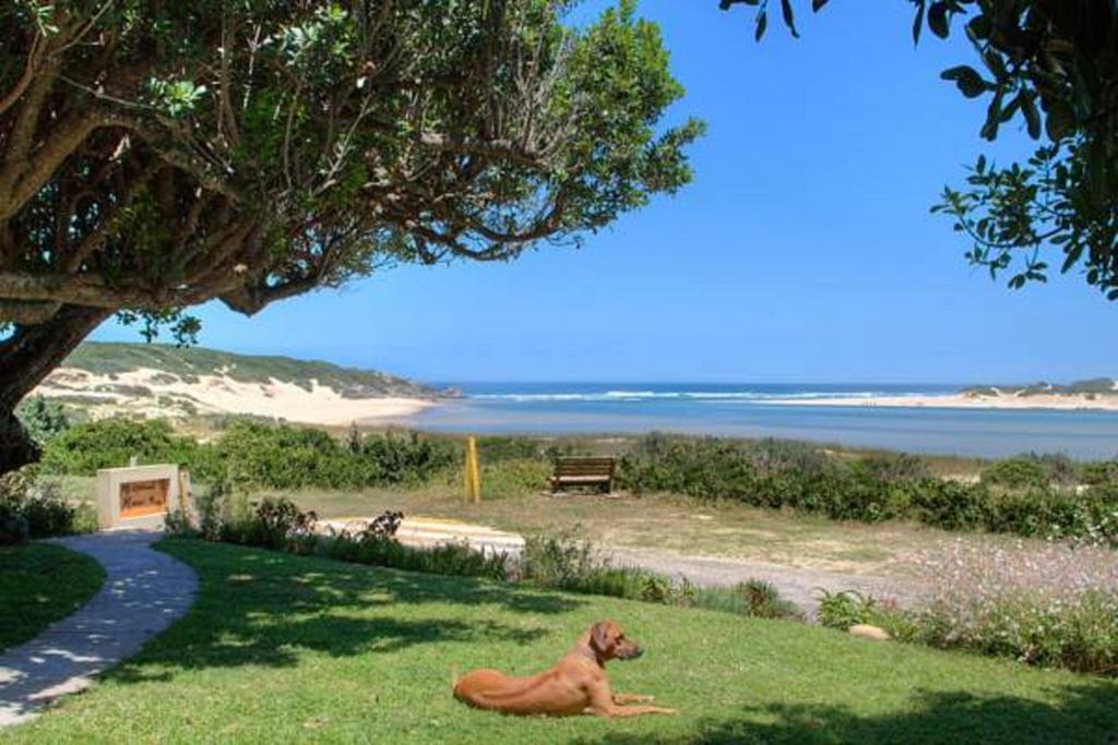 Milkwood Manor B & B Kenton on Sea Bagian luar foto